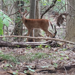 Meet your Posher, Addison
